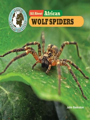 cover image of All About African Wolf Spiders